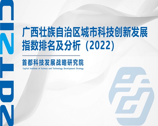 鸡巴屄在线播放【成果发布】广西壮族自治区城市科技创新发展指数排名及分析（2022）